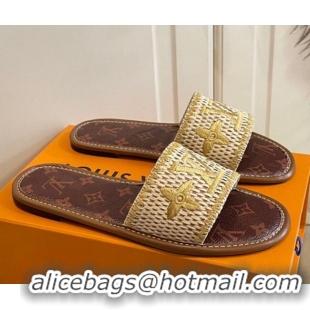 Good Quality Louis Vuitton Lock It Raffia and Monogram Canvas Slide Sandals 070809 Brown/Gold 2021