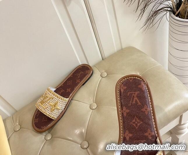 Good Quality Louis Vuitton Lock It Raffia and Monogram Canvas Slide Sandals 070809 Brown/Gold 2021