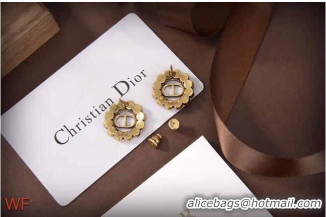 Best Quality Dior Earrings CE6831