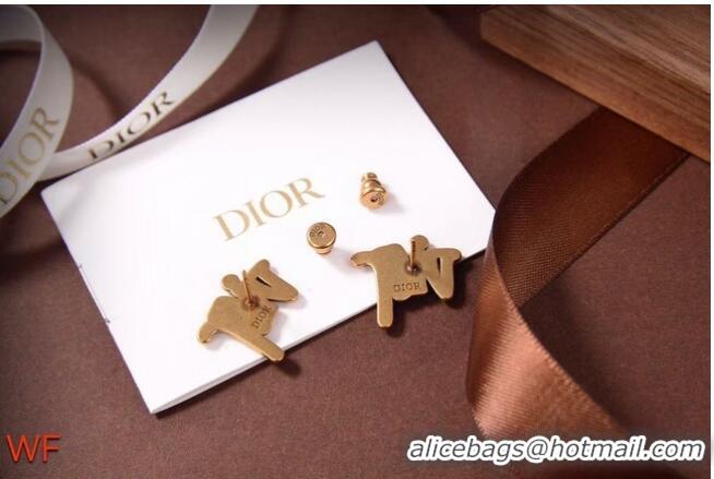 Top Grade Dior Earrings CE6832