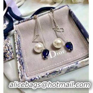 Top Quality Dior Earrings CE6835