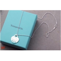 Luxury Classic TIFFANY Necklace CE6669