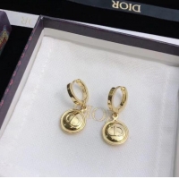 Top Quality Popular Dior Earrings CE6680