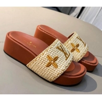 Unique Ladies Louis Vuitton Jumbo Raffia Flatform Slide Sandals 061503 Brown 2021 