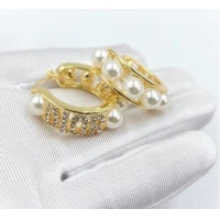 Classic Cheapest Chanel Earrings CE6799