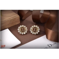 Best Quality Dior Earrings CE6831