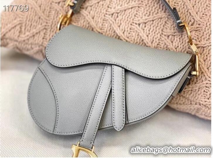 Shop Design Dior SMALL SADDLE-TAS VAN KALFSLEER M0445CW GREY