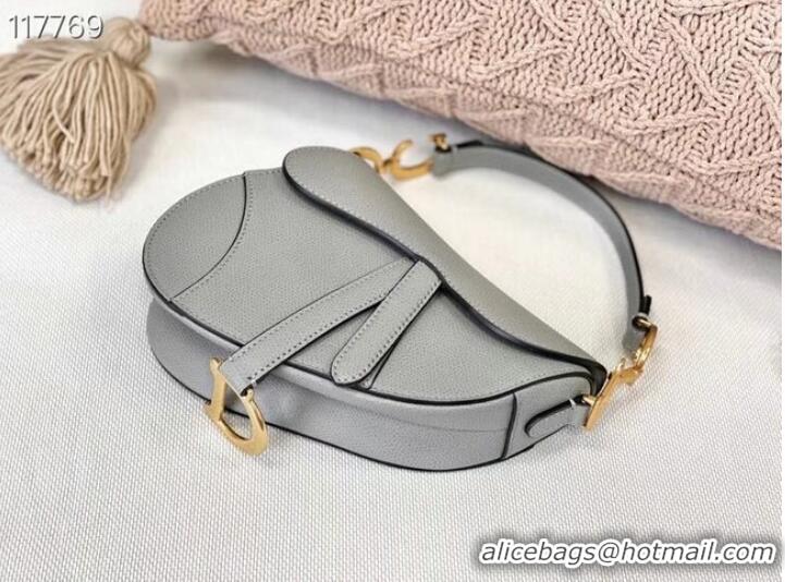 Shop Design Dior SMALL SADDLE-TAS VAN KALFSLEER M0445CW GREY