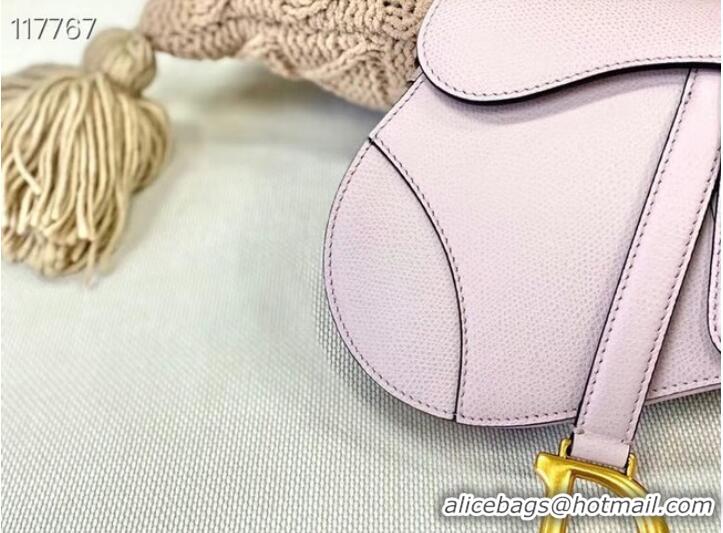 Well Crafted Dior SMALL SADDLE-TAS VAN KALFSLEER M0445CW LIGHT PINK