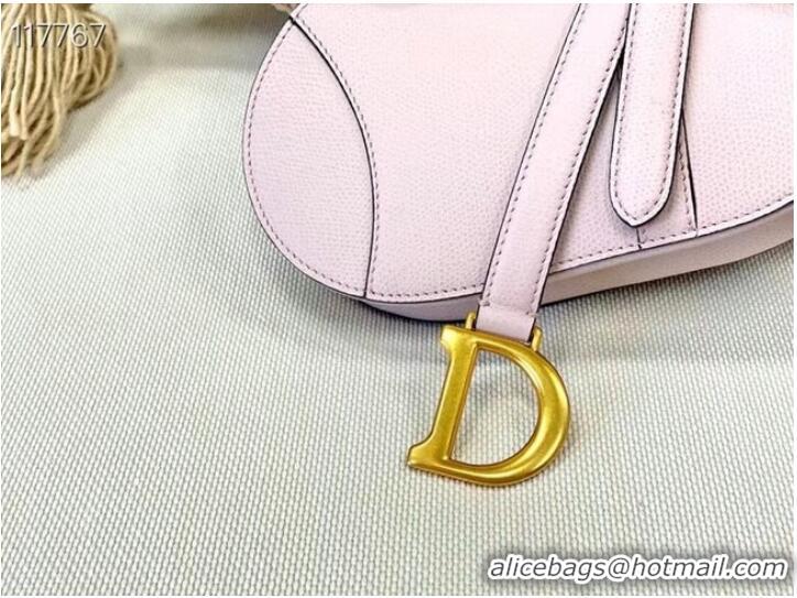 Well Crafted Dior SMALL SADDLE-TAS VAN KALFSLEER M0445CW LIGHT PINK