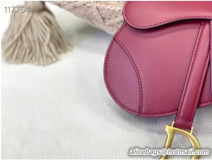 Unique Style DIOR SMALL SADDLE BAG Calfskin M0445CW Wine