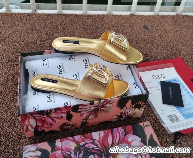 Elegant Dolce & Gabbana DG Metallic Leather Flat Slide Sandals 092233 Gold 2021