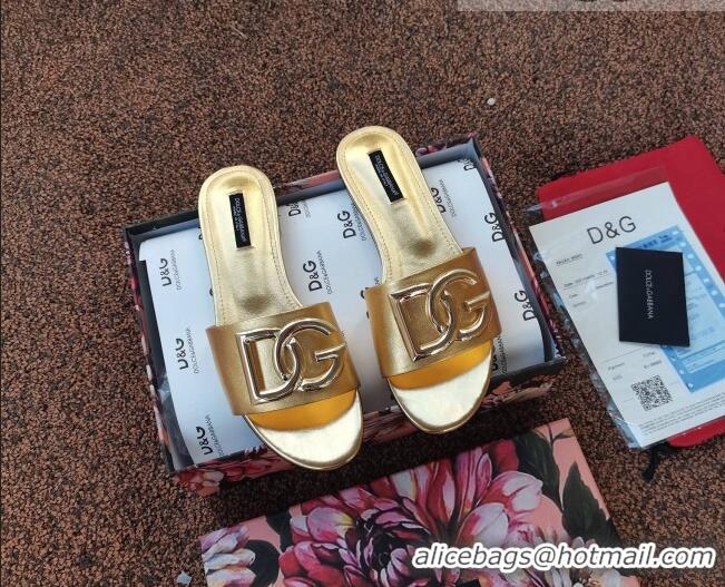 Elegant Dolce & Gabbana DG Metallic Leather Flat Slide Sandals 092233 Gold 2021