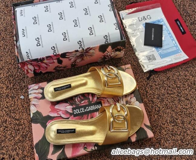 Elegant Dolce & Gabbana DG Metallic Leather Flat Slide Sandals 092233 Gold 2021