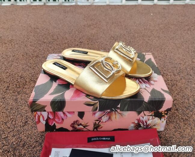 Elegant Dolce & Gabbana DG Metallic Leather Flat Slide Sandals 092233 Gold 2021