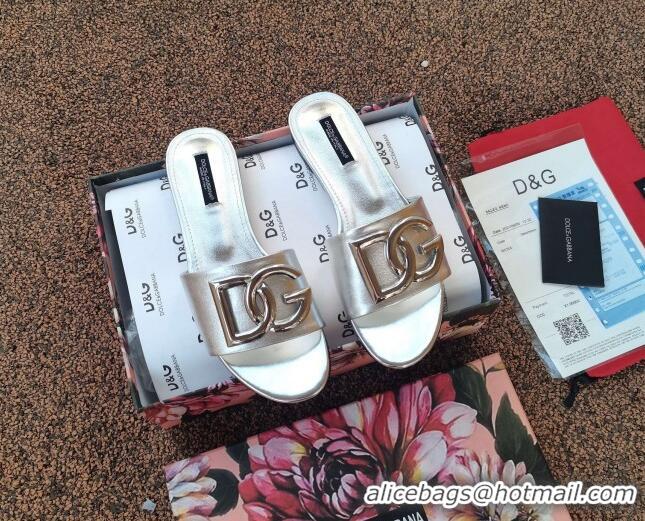 Most Popular Dolce & Gabbana DG Metallic Leather Flat Slide Sandals 092233 Silver 2021