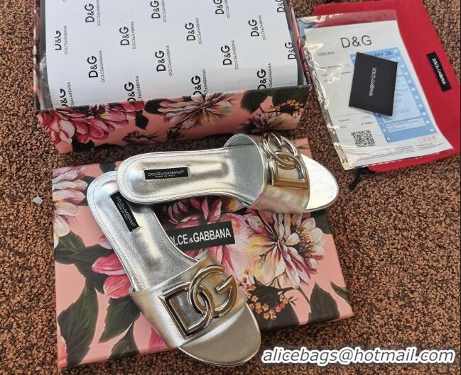 Most Popular Dolce & Gabbana DG Metallic Leather Flat Slide Sandals 092233 Silver 2021