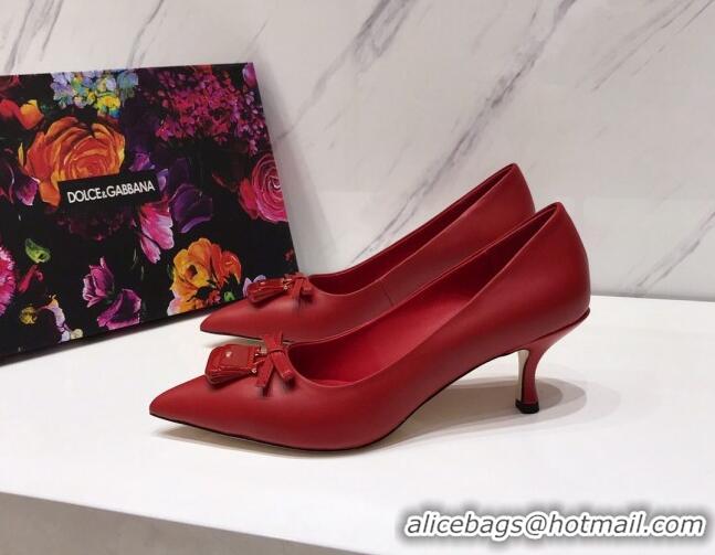 Unique Discount Dolce & Gabbana DG Calf Leather Pumps 6.5cm 093099 Red 2021