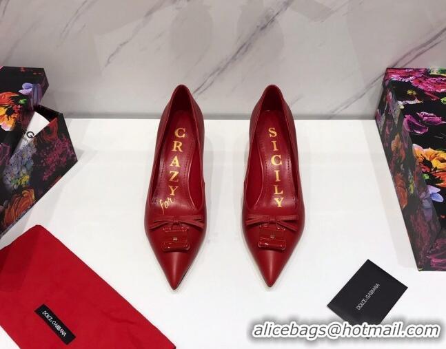 Unique Discount Dolce & Gabbana DG Calf Leather Pumps 6.5cm 093099 Red 2021