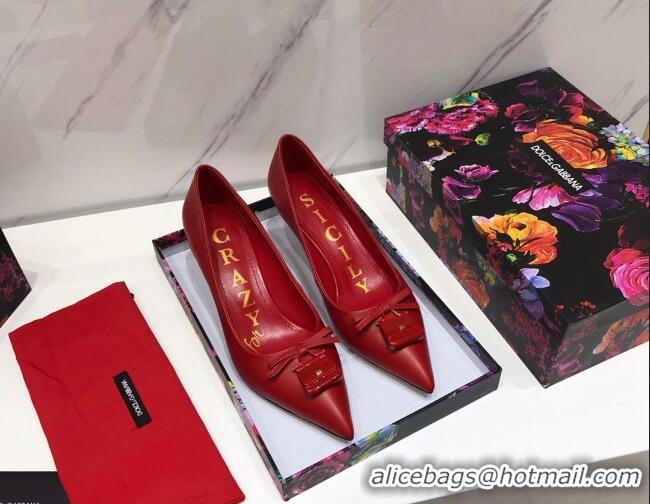 Unique Discount Dolce & Gabbana DG Calf Leather Pumps 6.5cm 093099 Red 2021