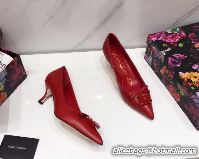 Unique Discount Dolce & Gabbana DG Calf Leather Pumps 6.5cm 093099 Red 2021