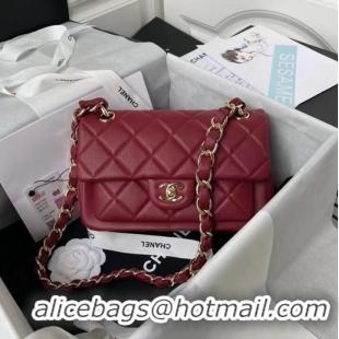 Classic Specials Chanel leather Shoulder Bag AS2798 red