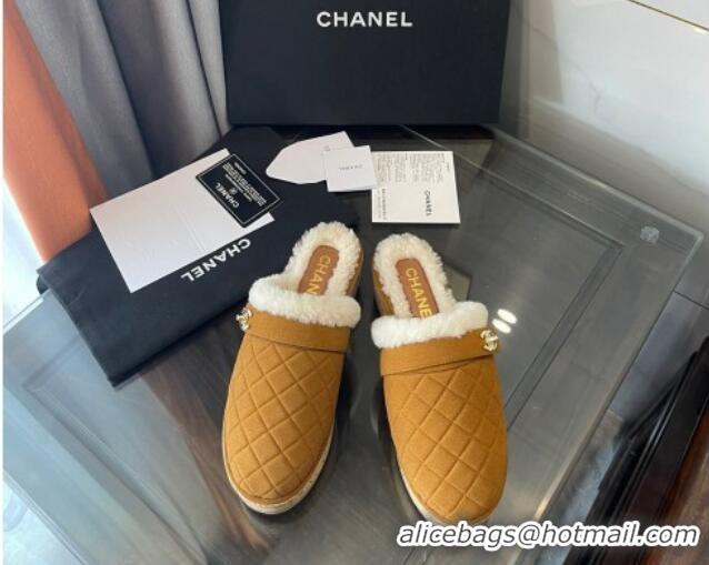 Luxurious Chanel Suede and Shearling Clogs Mules 4.5cm G38271 Clay