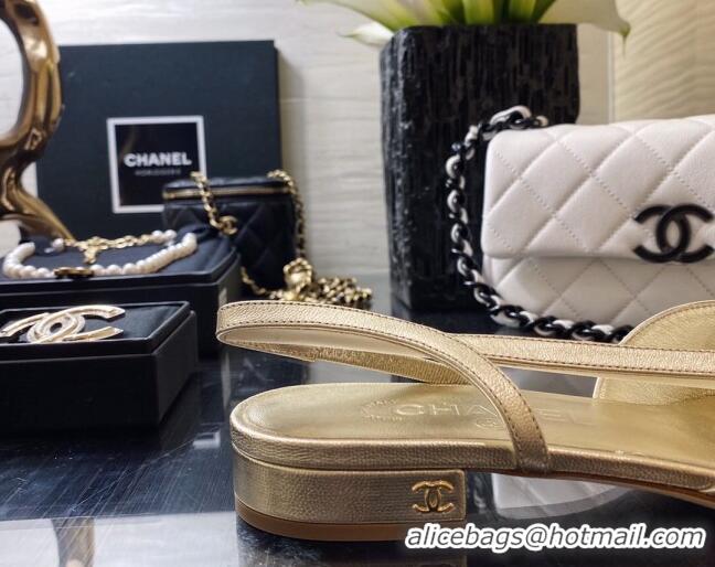 Good Product Chanel Calfskin Slingbacks Ballerinas Flat G31319 Gold