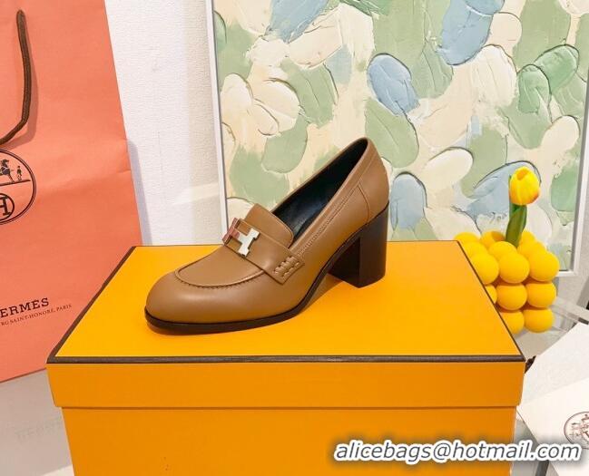 New Style Hermes Dauphine Calfskin Horsehair High Heel Pumps 8.5cm 091806 Brown