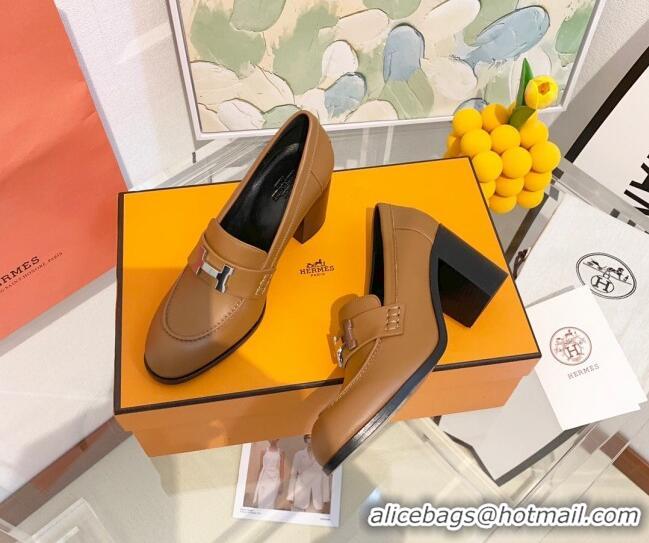 New Style Hermes Dauphine Calfskin Horsehair High Heel Pumps 8.5cm 091806 Brown