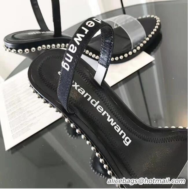 Hot Fashion Alexander Wang High Quality Pums AW7850 Black