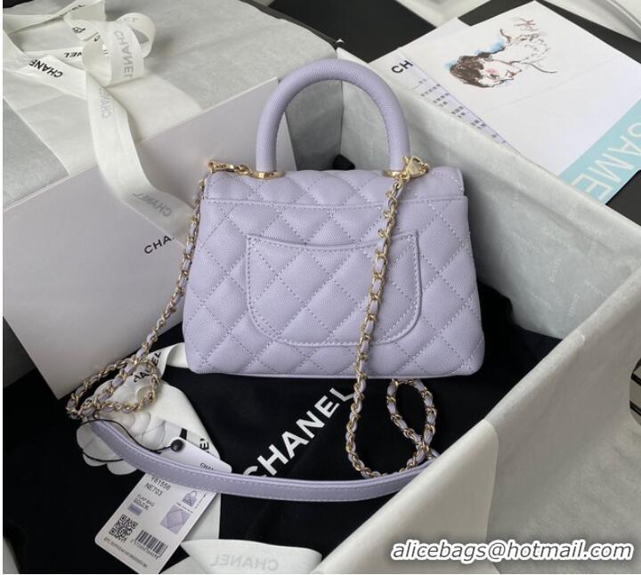 Reasonable Price Chanel flap bag with top handle Grained Calfskin gold-Tone Metal AS2215 light purple