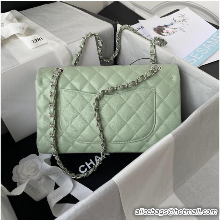 Wholesale Chanel Flap Shoulder Bag Grained Calfskin A01112 silver-Tone Metal green