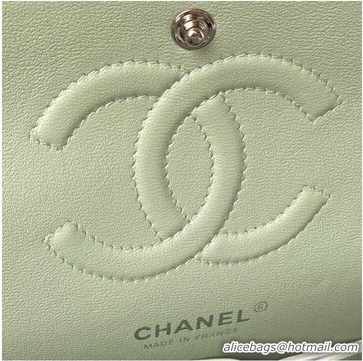 Wholesale Chanel Flap Shoulder Bag Grained Calfskin A01112 silver-Tone Metal green