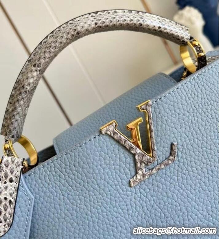 New Style Louis Vuitton CAPUCINES PM M97980 light blue