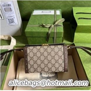 Super Quality Gucci GG mini bag 678460 Brown