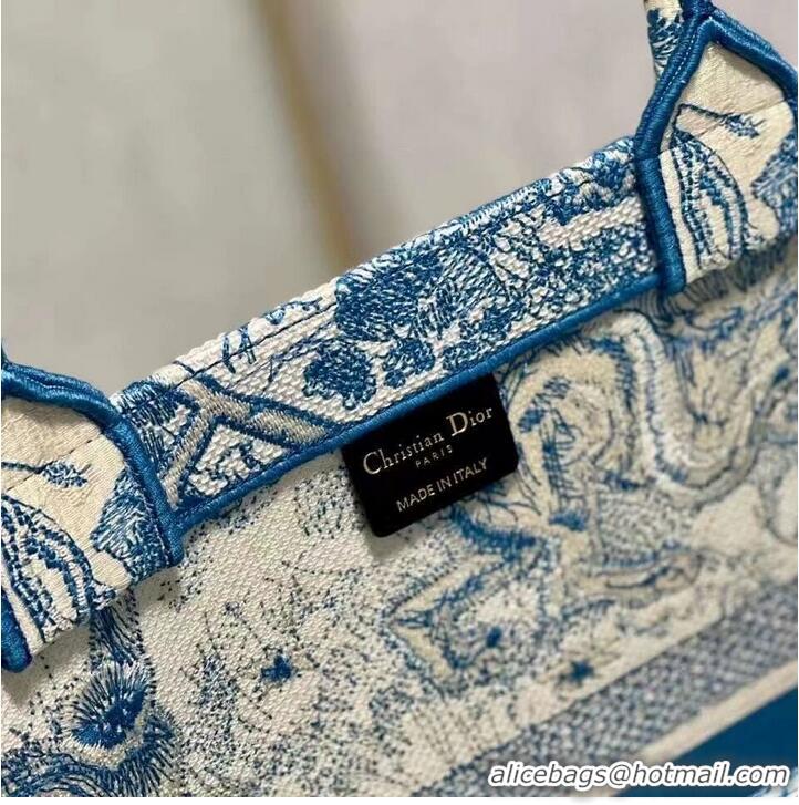 Spot Bulk DIOR BOOK TOTE Embroidery C1286-6 blue