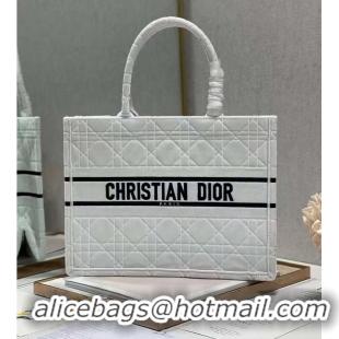 Famous Brand SMALL DIOR BOOK TOTE Velvet C1287-1 white