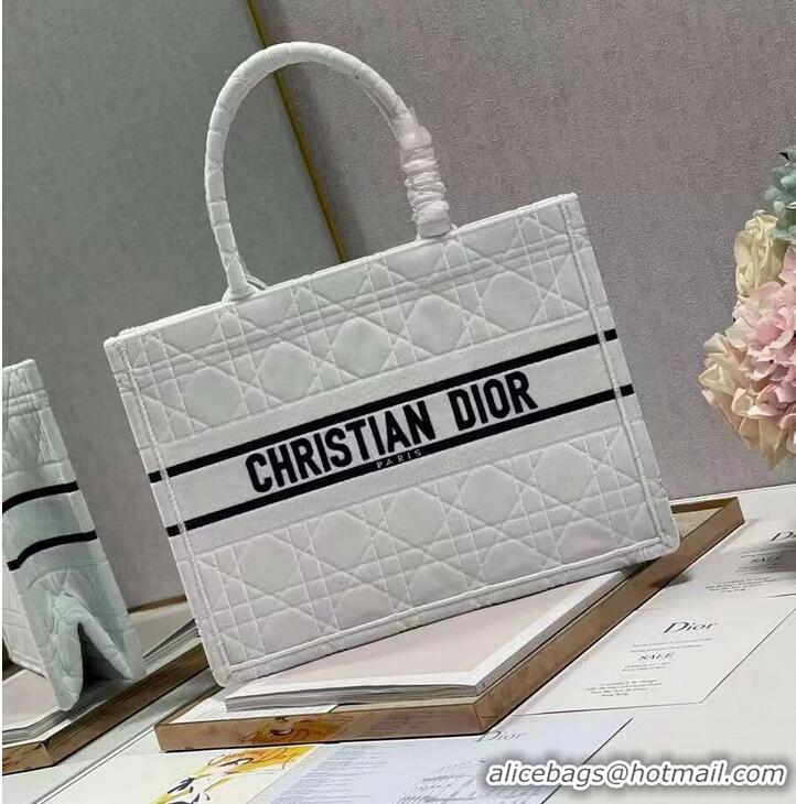 Famous Brand SMALL DIOR BOOK TOTE Velvet C1287-1 white