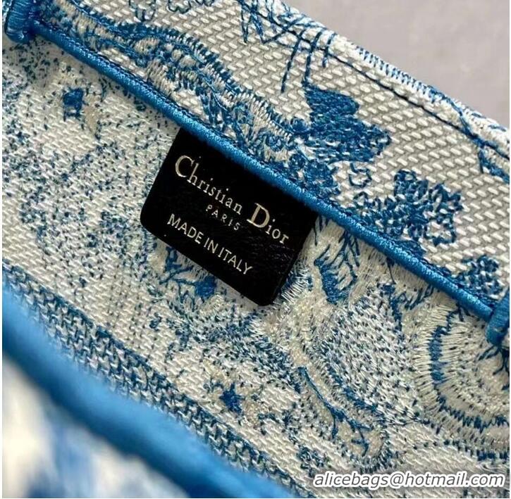 New Fashion DIOR BOOK TOTE Embroidery C1287-6 blue