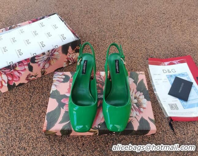 Fashion Dolce & Gabbana DG Patent Leather Slingback Pumps 6.5cm 111516 Green/Gold