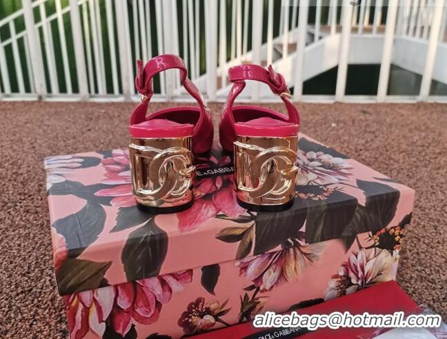 Low Price Dolce & Gabbana DG Patent Leather Slingback Pumps 6.5cm 111516 Hot Pink/Gold