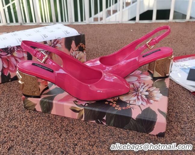 Low Price Dolce & Gabbana DG Patent Leather Slingback Pumps 6.5cm 111516 Hot Pink/Gold