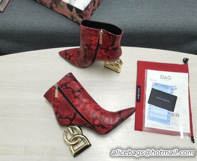 Best Luxury Dolce & Gabbana DG Snakeskin Print Ankle Short Boots 10.5cm 111531 Red/Gold