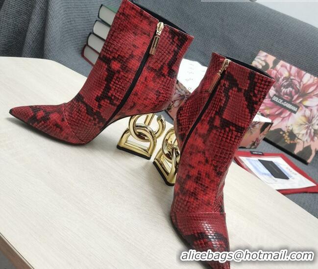 Best Luxury Dolce & Gabbana DG Snakeskin Print Ankle Short Boots 10.5cm 111531 Red/Gold