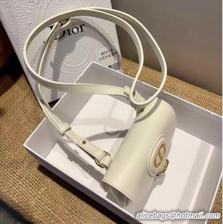 Classic MINI DIOR BOBBY BAG Warm Taupe Box Calfskin S5109U WHITE