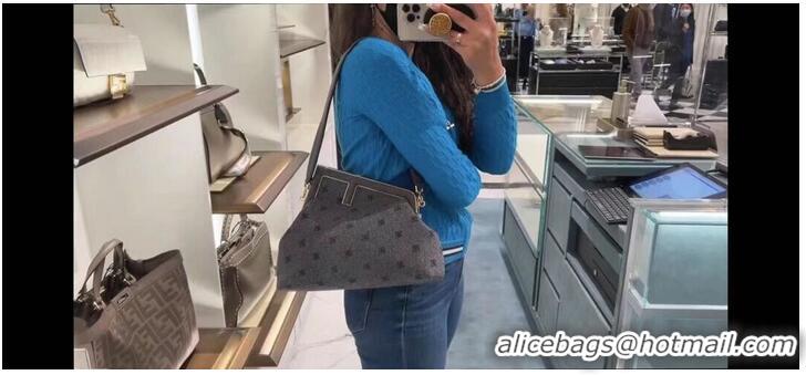 Buy Fashionable FENDI FIRST MEDIUM flannel bag with embroidery 8BP127A gray