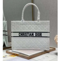 Famous Brand SMALL DIOR BOOK TOTE Velvet C1287-1 white