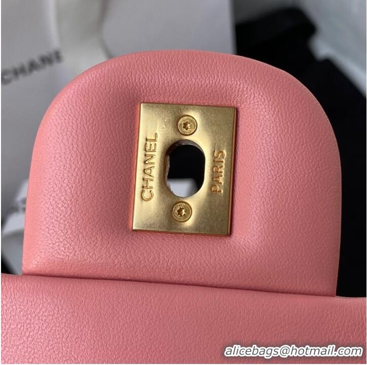 Buy Fashionable Chanel SMALL Lambskin FLAP BAG AS1792 pink