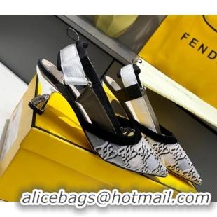 Top Quality Fendi Colibri Karligraphy Slingback Pumps 6cm in Mesh and Embroidery 111613 Grey